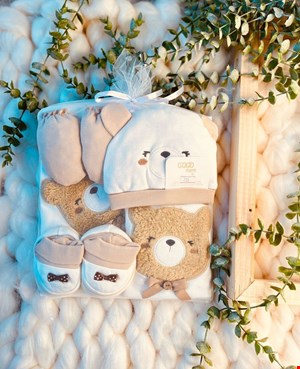 کله خرس تدی